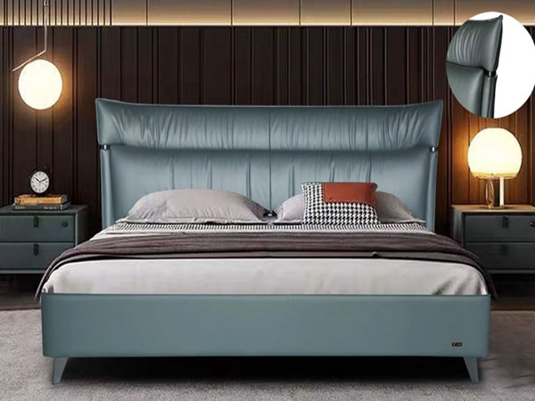 Introductio ad mollem lectum Sustentationem